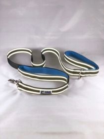 Double handle reflective leash
Blue