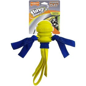 Nylabone Power Play Dog Fetch Toys FlingaBounce FlingaBounce; 1ea-Large 1 ct