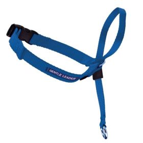 PetSafe Headcollar NoPull Dog Collar Royal Blue, 1ea/MD